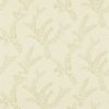 Palme 311716